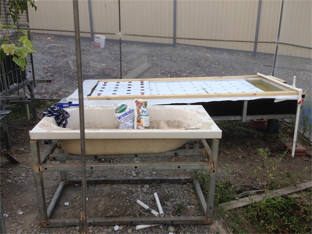 DWC & DW Pond 21.01.14_001.jpeg