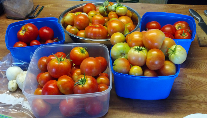 Tomatoes20140118-800.jpg