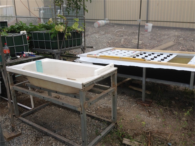 DWC & DW Pond 22.01.14_001.jpeg