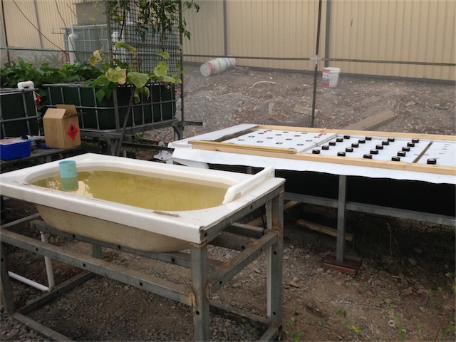 DWC & DW Pond 22.01.14_002.jpeg