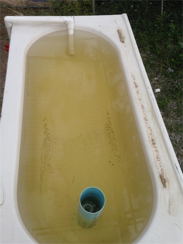 DWC & DW Pond 22.01.14_004.jpeg