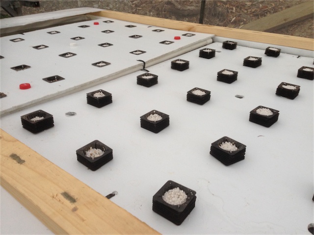 DWC & DW Pond 22.01.14_003.jpeg