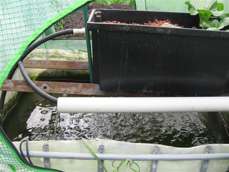 newbed 004 (Medium).jpg