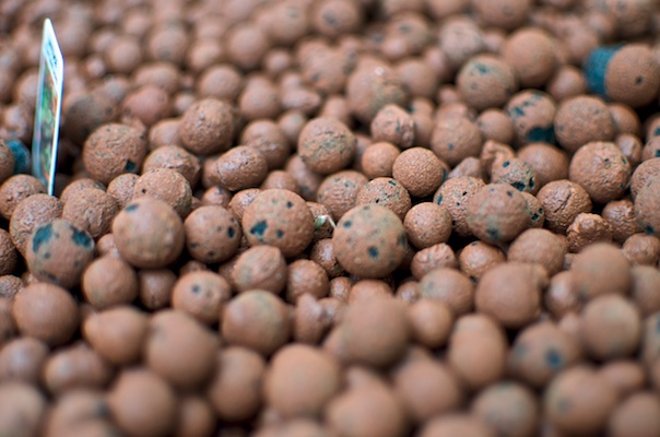 Aquaponics Setup 21012014 001.jpg