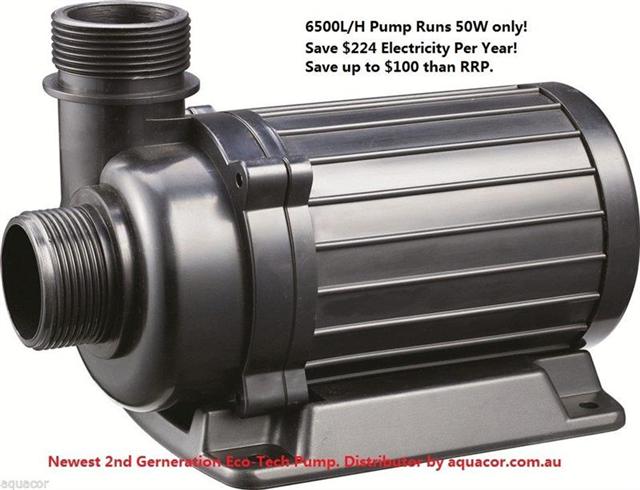 Jebao Submersible 6500L Pump (Medium) (Small).JPG