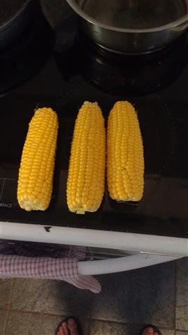 2014-01-24 18.49.25 (Small).jpg