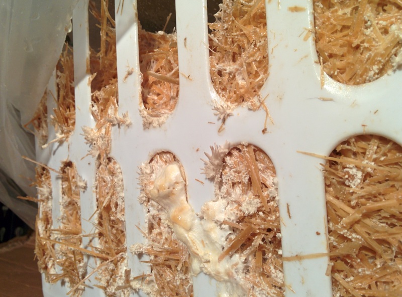 2014-01-23 21.44.50.jpg