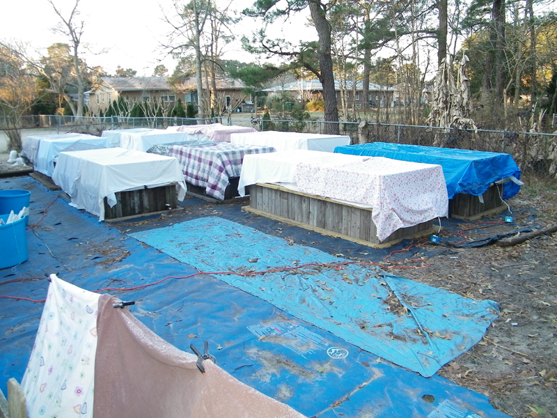 wicking bed heavy freeze 1.jpg