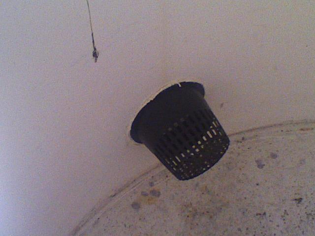 fish screen 3.75 net basket over 2 hole.jpeg