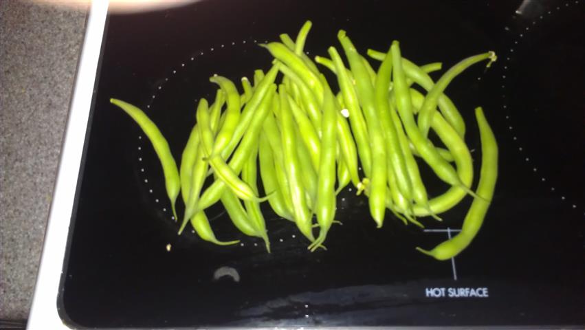 2014-01-26 17.32.14 (Small).jpg