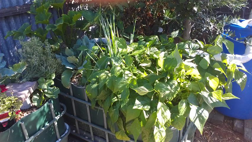 2014-01-26 17.38.37 (Small).jpg