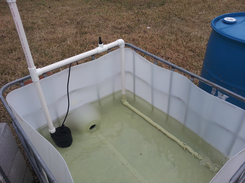 20140126_164558 (reduced).jpg