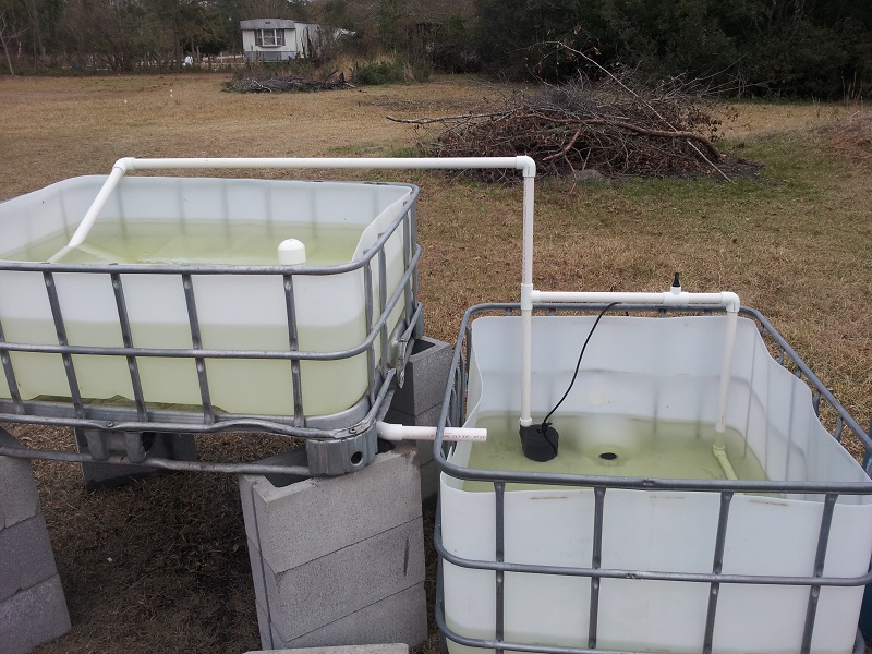 20140126_164550 (reduced).jpg