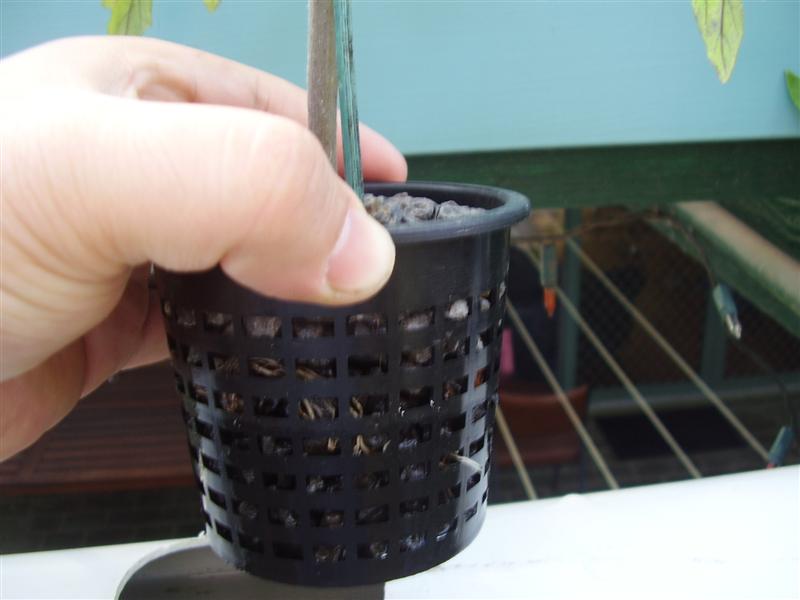 P9150010 (Medium).JPG