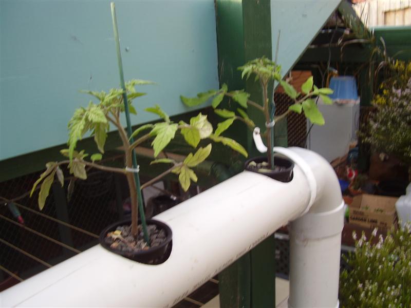 P9150008 (Medium).JPG