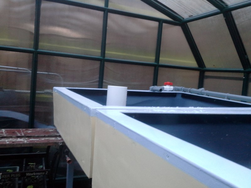 20140115_155009 - Copy.jpg