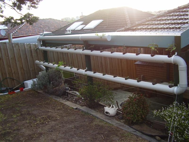 P9150005 (Medium).JPG