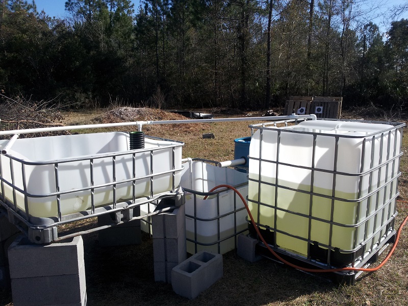 20140127_143946 (reduced).jpg