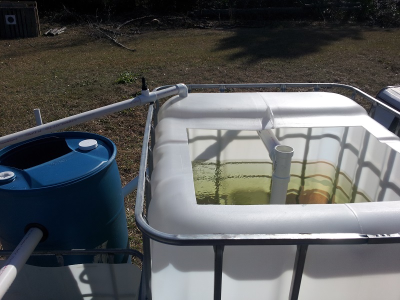 20140127_143955 (reduced).jpg