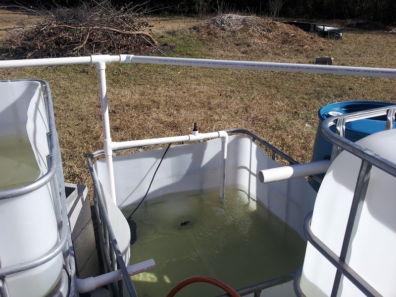 20140127_144007 (reduced).jpg