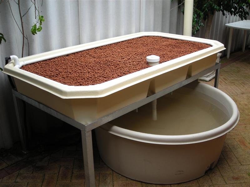 DSCN0249 (Medium).JPG