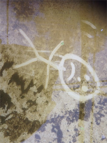 Bio Film 28.01.14_001.jpeg