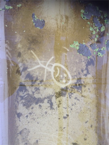 Bio Film 28.01.14_002.jpeg