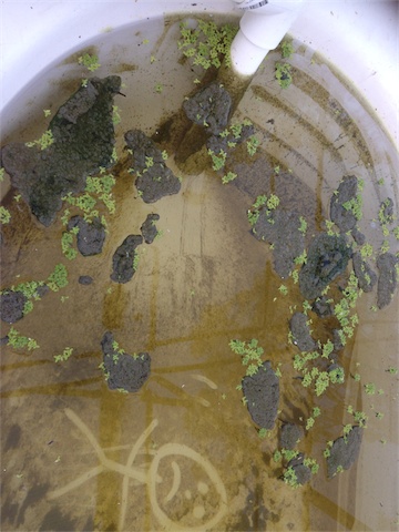 Bio Film 28.01.14_003.jpeg