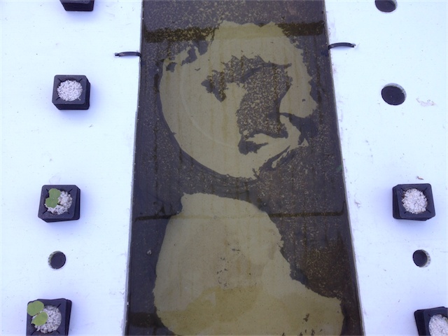 Bio Film 28.01.14_004.jpeg