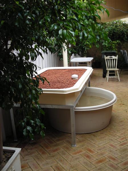 DSCN0250 (Medium).JPG