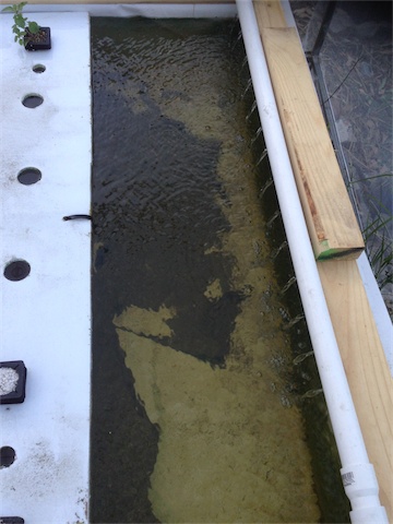 Bio Film 28.01.14_005.jpeg