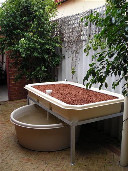 DSCN0252 (Medium).JPG