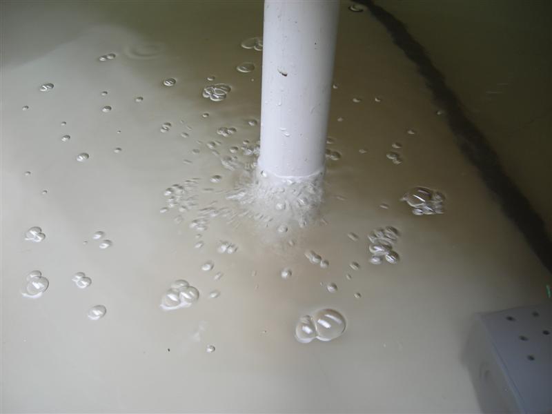 DSCN0239 (Medium).JPG