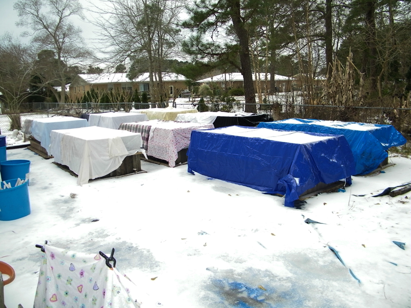 wicking bed sleet covered.jpg