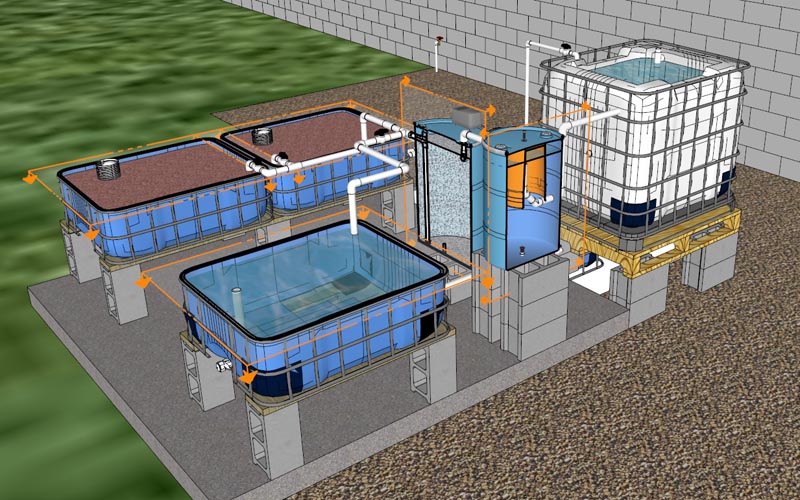 Final Version 2 (2).jpg