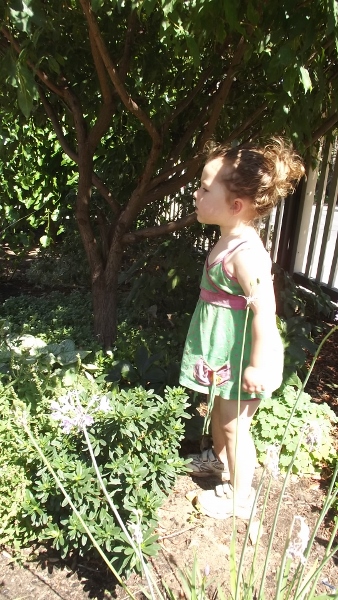 Jan 2014 083 (338x600).jpg