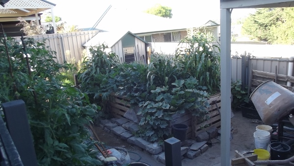 Jan 2014 228 (600x338).jpg