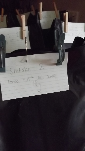 Jan 2014 043 (338x600).jpg