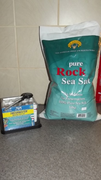 Jan 2014 047 (338x600).jpg