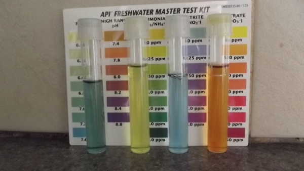 Jan 2014 184 (600x338).jpg