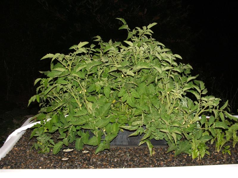 DSCF2883 (Medium).JPG