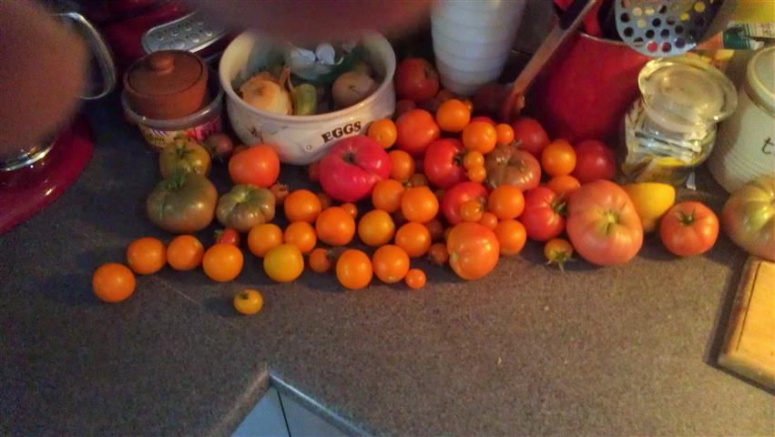 2014-02-05 17.23.10 (2) (Small).jpg