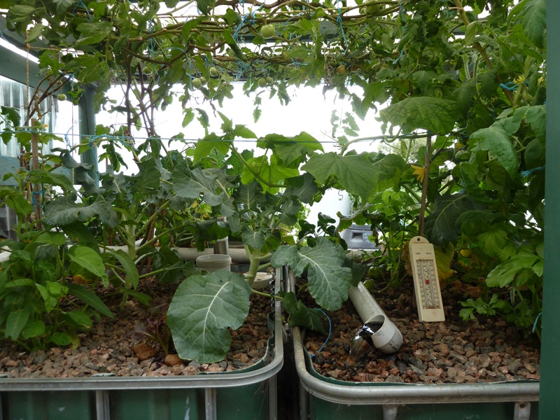 Sth Veiw 12 Feb 2014.JPG