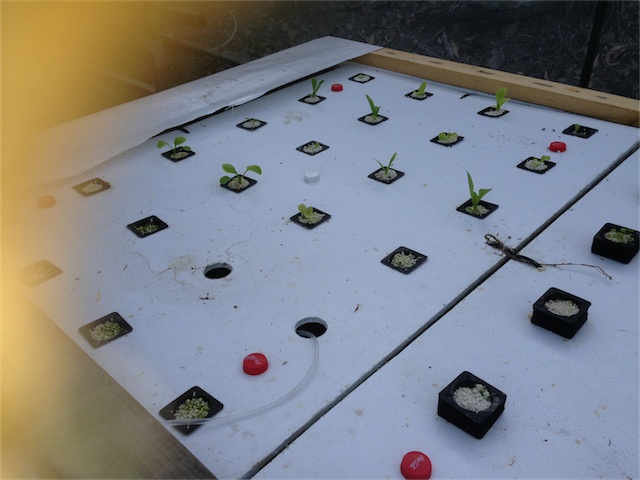 DWC 13.02.14_001.jpeg