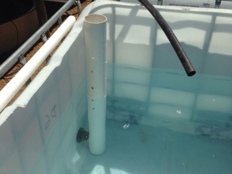 Aquaponics - 59.jpg