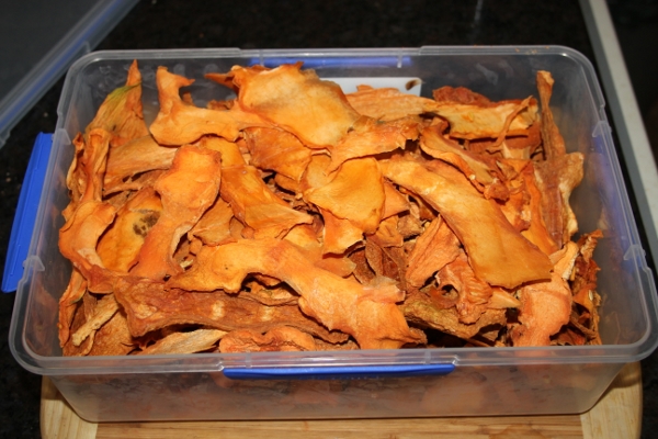 Dried Cantaloupe.jpg