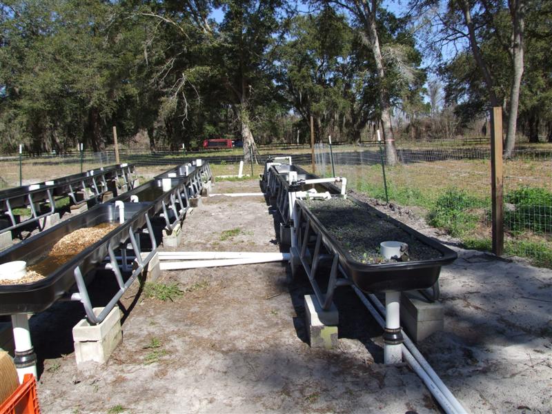 Expansion (Medium).JPG