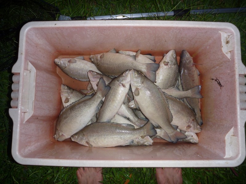 P1090087 (Custom).JPG