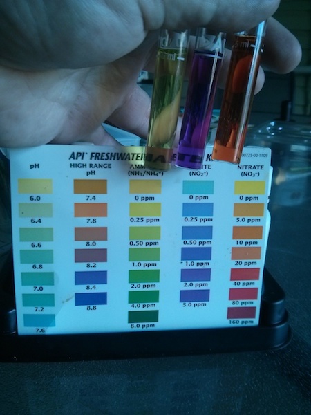 IMG_20140218_143224 copy.jpg