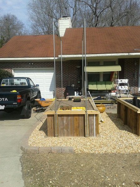 Beds vision and future tomato line training.jpg